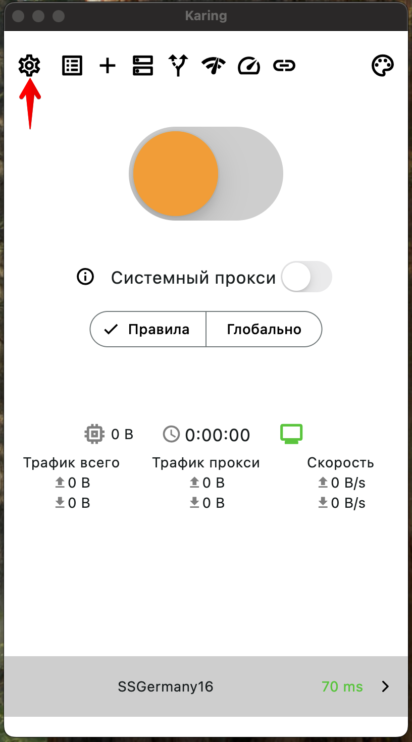 Karing: настройки