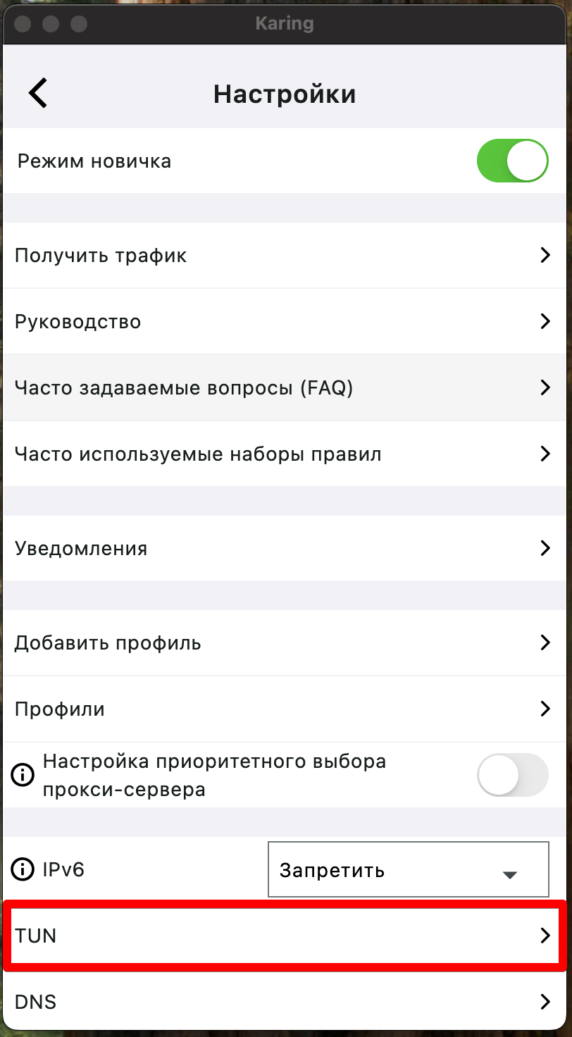 Karing: пункт TUN