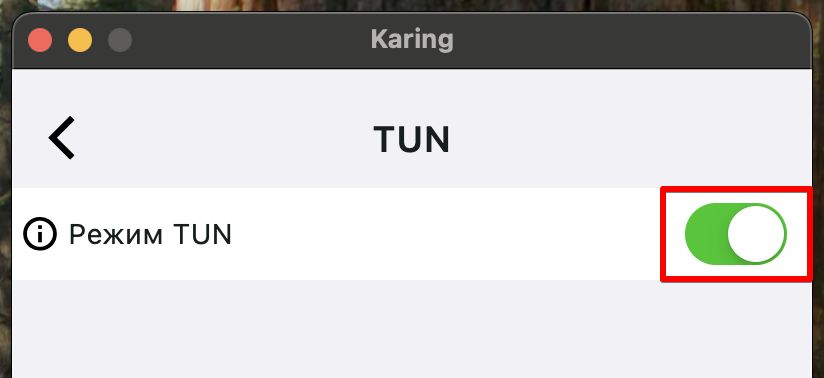 Karing: включить TUN
