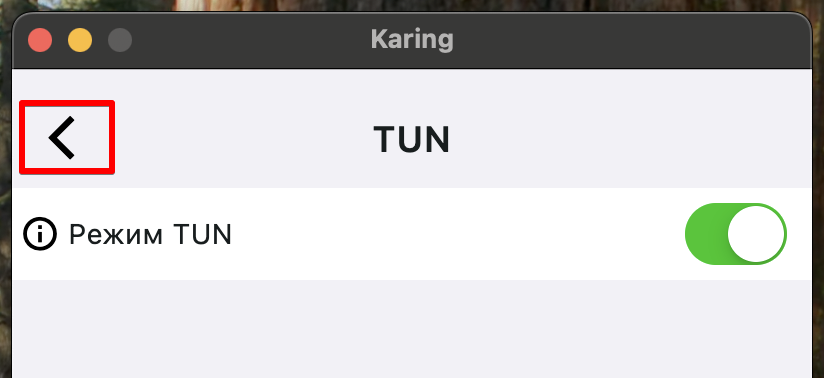 Karing: TUN включён